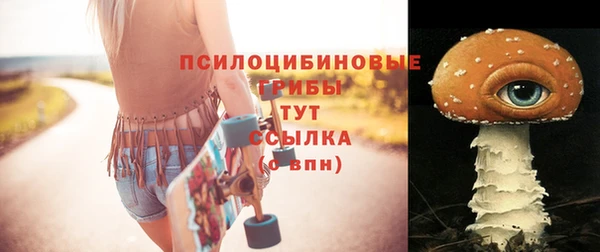 ECSTASY Володарск