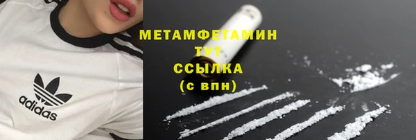 ГАЛЛЮЦИНОГЕННЫЕ ГРИБЫ Верея