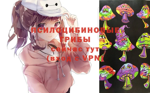 mdma Бородино