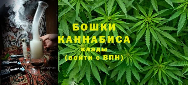 ГАЛЛЮЦИНОГЕННЫЕ ГРИБЫ Верея